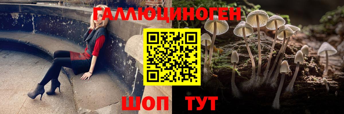 Псилоцибиновые грибы ЛСД  Вход с VPN  Свободный 